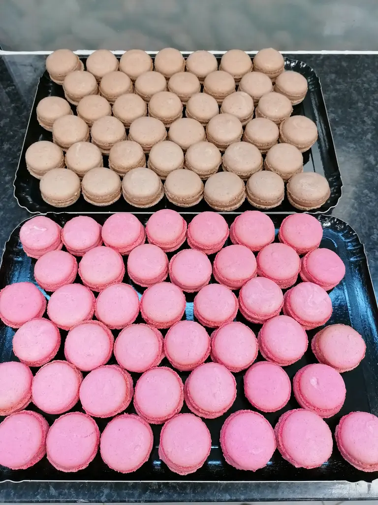Réduits macarons 